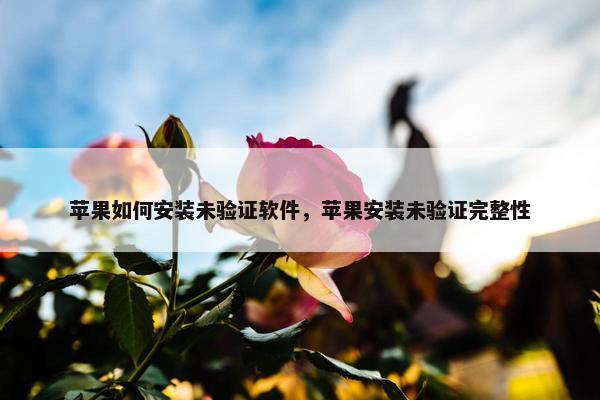 苹果如何安装未验证软件，苹果安装未验证完整性