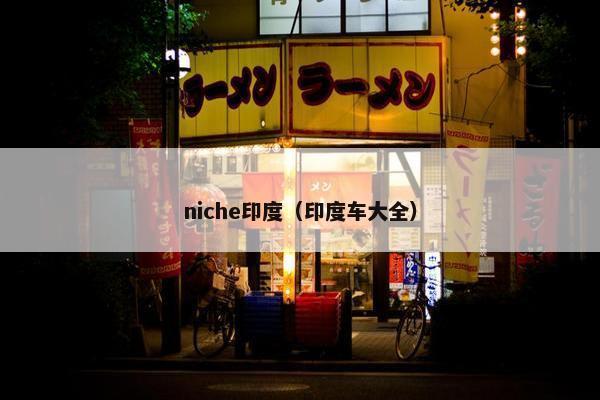 niche印度（印度车大全）