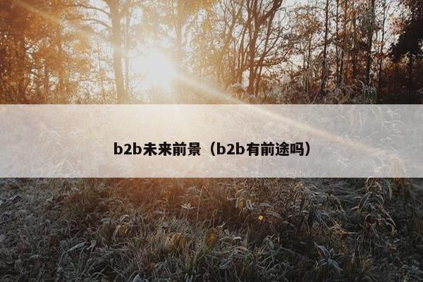 b2b未来前景（b2b有前途吗）