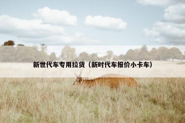 新世代车专用拉货（新时代车报价小卡车）