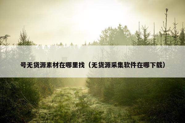 号无货源素材在哪里找（无货源采集软件在哪下载）