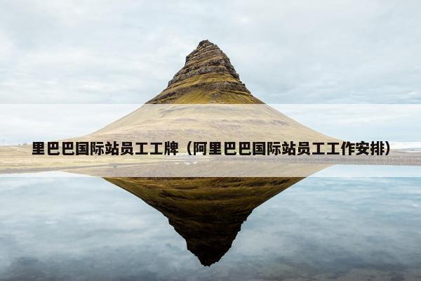 里巴巴国际站员工工牌（阿里巴巴国际站员工工作安排）