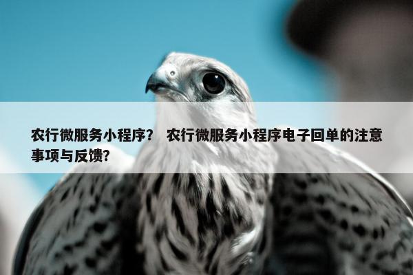 农行微服务小程序？ 农行微服务小程序电子回单的注意事项与反馈？