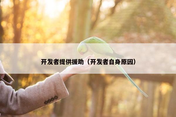 开发者提供援助（开发者自身原因）