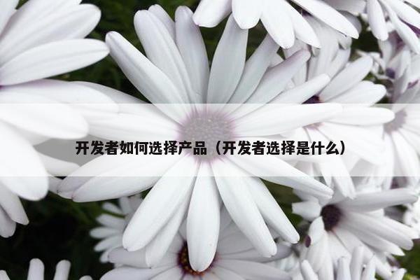 开发者如何选择产品（开发者选择是什么）