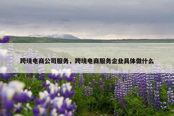 跨境电商公司服务，跨境电商服务企业具体做什么