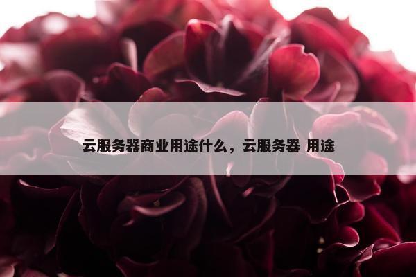 云服务器商业用途什么，云服务器 用途