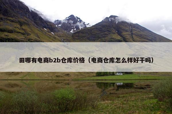 田哪有电商b2b仓库价格（电商仓库怎么样好干吗）