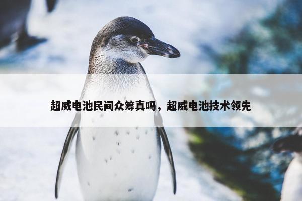 超威电池民间众筹真吗，超威电池技术领先