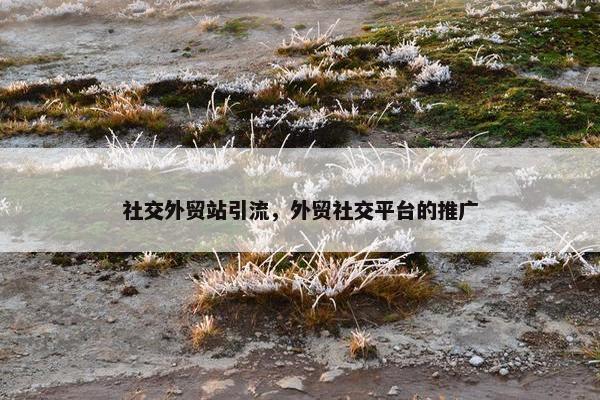 社交外贸站引流，外贸社交平台的推广