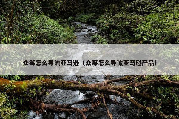 众筹怎么导流亚马逊（众筹怎么导流亚马逊产品）