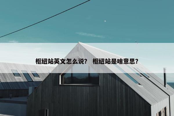枢纽站英文怎么说？ 枢纽站是啥意思？
