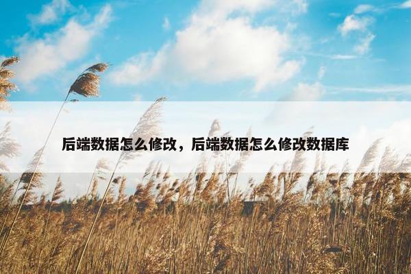 后端数据怎么修改，后端数据怎么修改数据库