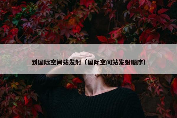 到国际空间站发射（国际空间站发射顺序）