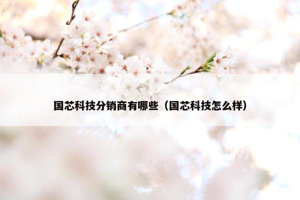 国芯科技分销商有哪些（国芯科技怎么样）