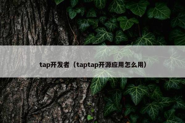 tap开发者（taptap开源应用怎么用）