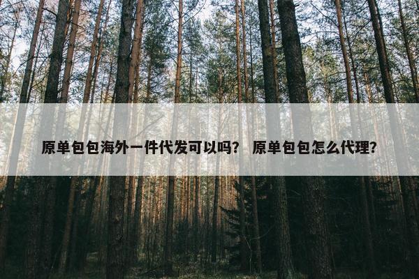 原单包包海外一件代发可以吗？ 原单包包怎么代理？