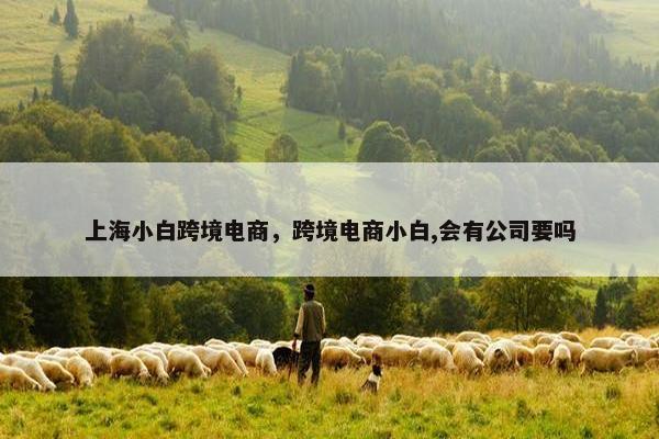上海小白跨境电商，跨境电商小白,会有公司要吗