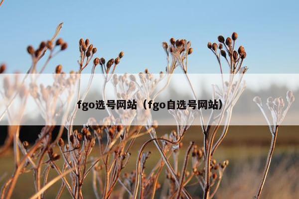 fgo选号网站（fgo自选号网站）