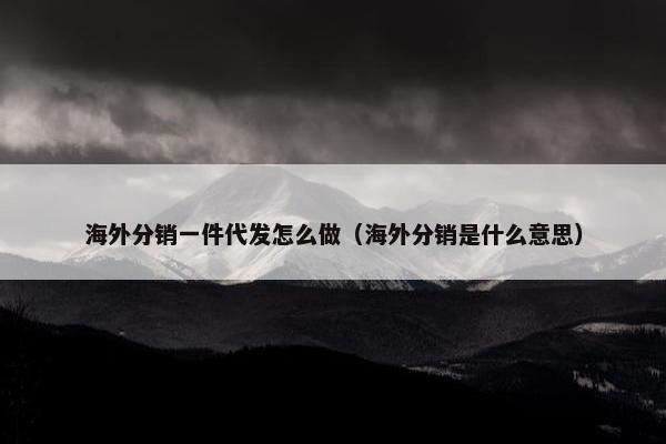 海外分销一件代发怎么做（海外分销是什么意思）