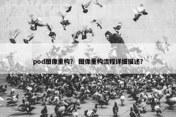 pod图像重构？ 图像重构流程详细描述？