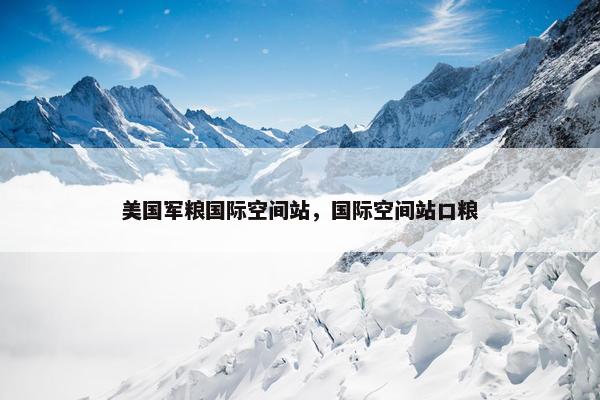 美国军粮国际空间站，国际空间站口粮
