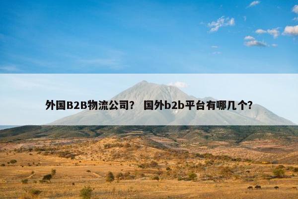 外国B2B物流公司？ 国外b2b平台有哪几个？