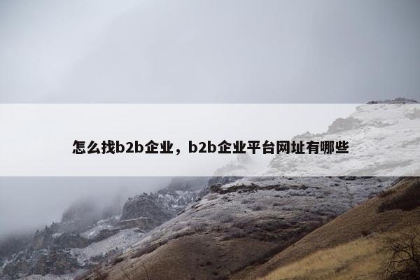 怎么找b2b企业，b2b企业平台网址有哪些