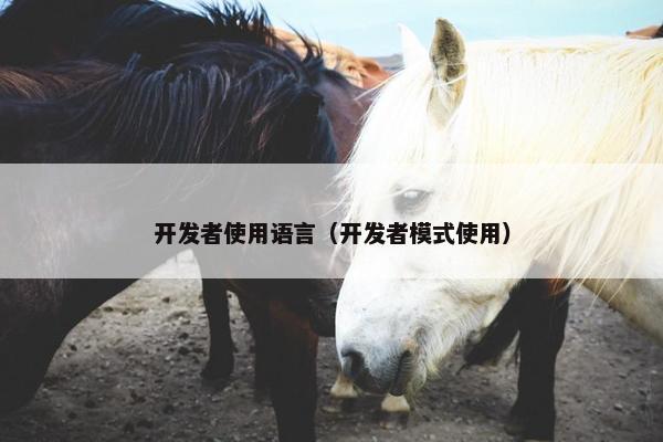 开发者使用语言（开发者模式使用）