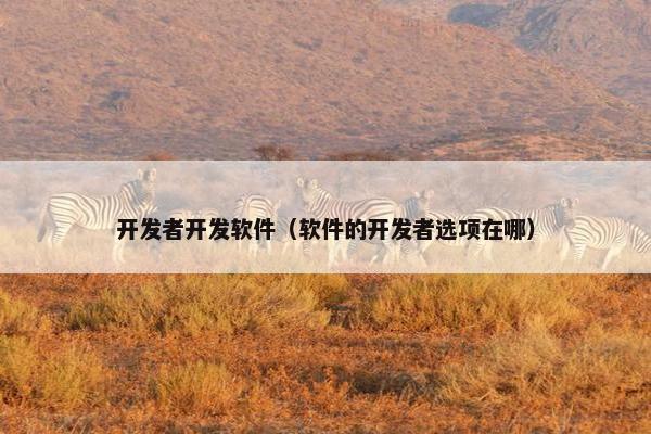 开发者开发软件（软件的开发者选项在哪）