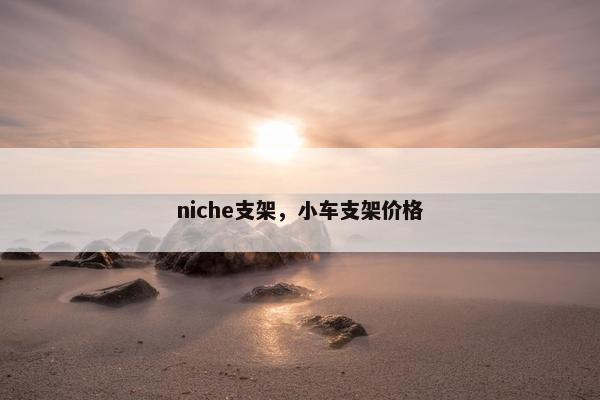 niche支架，小车支架价格