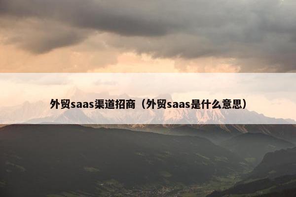 外贸saas渠道招商（外贸saas是什么意思）