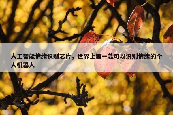 人工智能情绪识别芯片，世界上第一款可以识别情绪的个人机器人