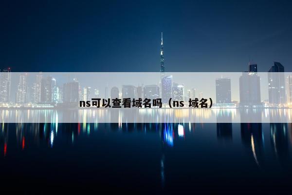 ns可以查看域名吗（ns 域名）