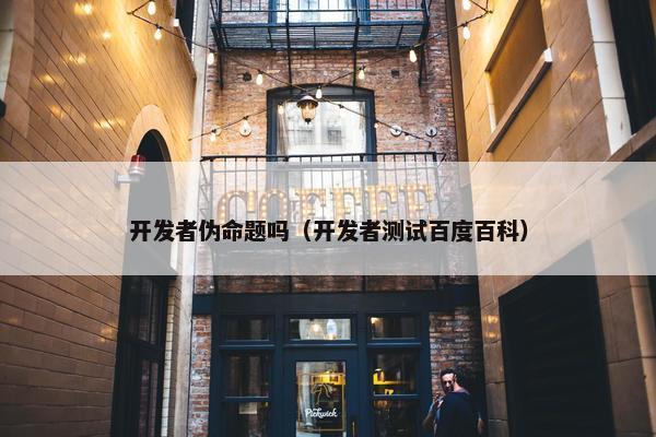 开发者伪命题吗（开发者测试百度百科）