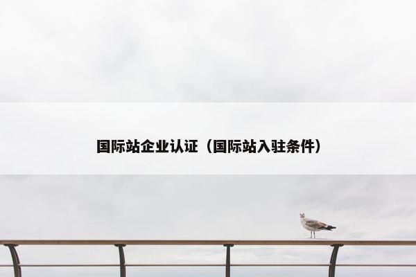 国际站企业认证（国际站入驻条件）
