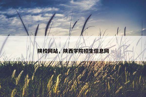 陕校网站，陕西学院招生信息网