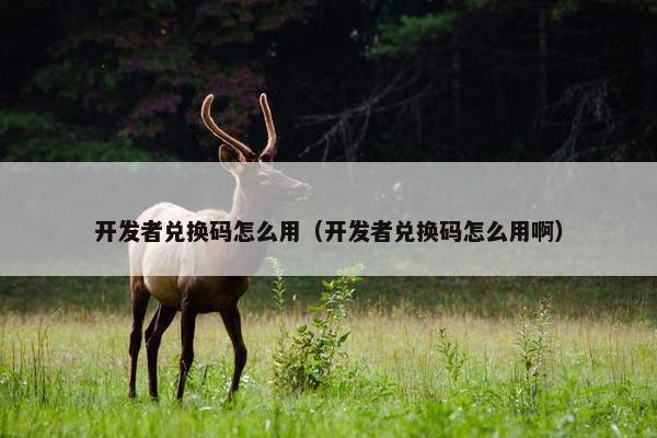 开发者兑换码怎么用（开发者兑换码怎么用啊）