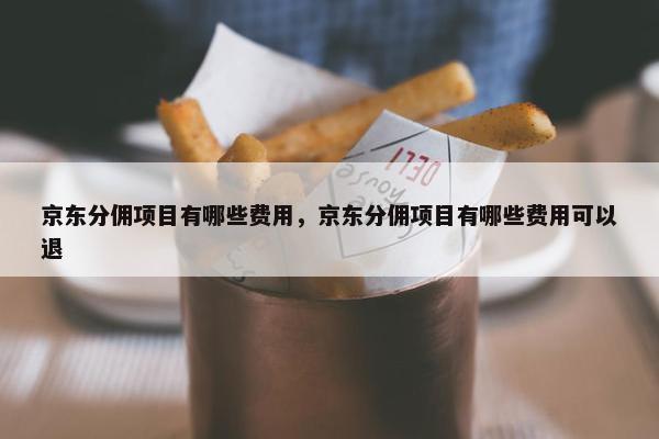 京东分佣项目有哪些费用，京东分佣项目有哪些费用可以退
