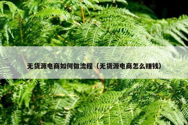 无货源电商如何做流程（无货源电商怎么赚钱）