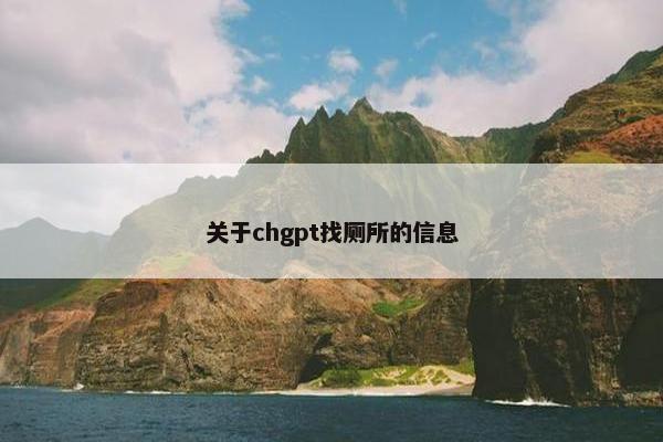 关于chgpt找厕所的信息