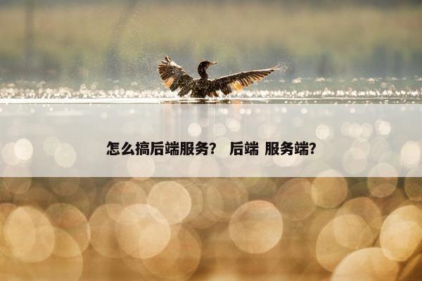 怎么搞后端服务？ 后端 服务端？