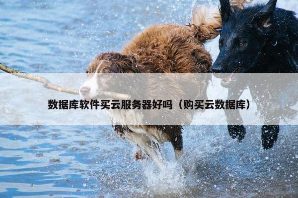 数据库软件买云服务器好吗（购买云数据库）