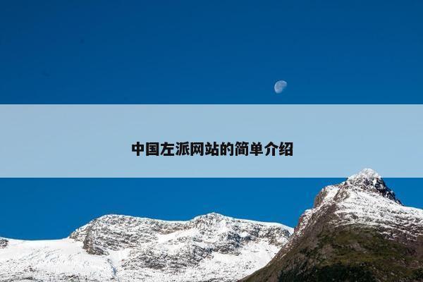 中国左派网站的简单介绍