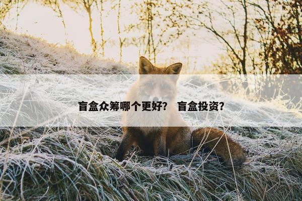 盲盒众筹哪个更好？ 盲盒投资？