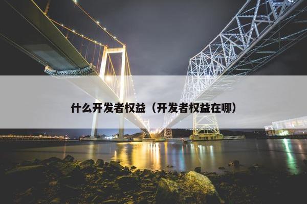 什么开发者权益（开发者权益在哪）