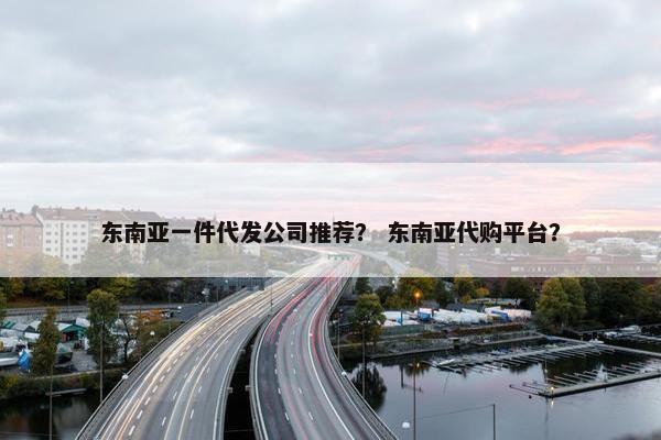 东南亚一件代发公司推荐？ 东南亚代购平台？