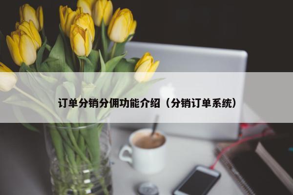 订单分销分佣功能介绍（分销订单系统）