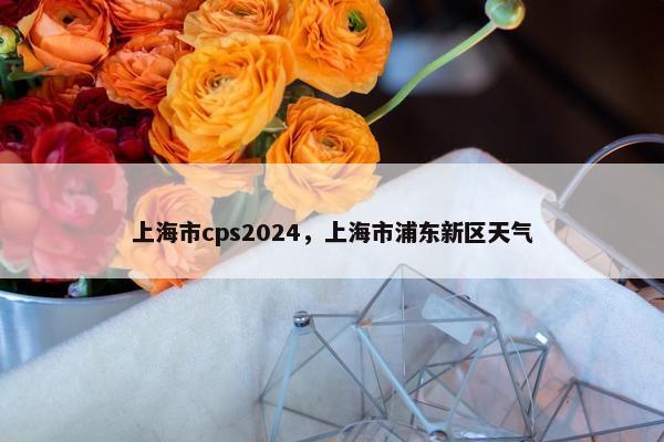 上海市cps2024，上海市浦东新区天气