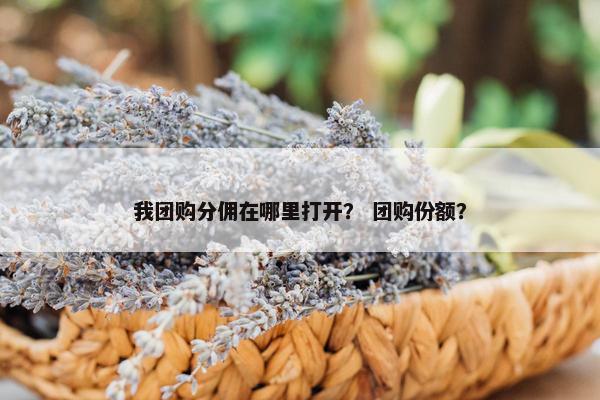 我团购分佣在哪里打开？ 团购份额？